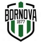 Bornova 1877 U19 logo