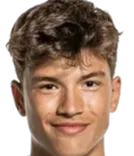 Damian van der Vaart logo