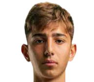 Demir Ege·Tıknaz logo