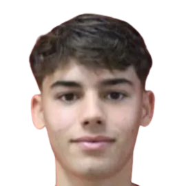 Antonio Sousa Machado photo 