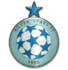 Silver Stars logo