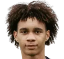 Diesel Herrington logo