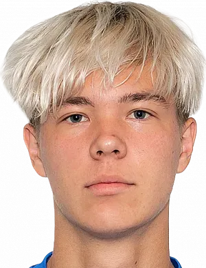 Mikhailovich Ilya Gribakin logo