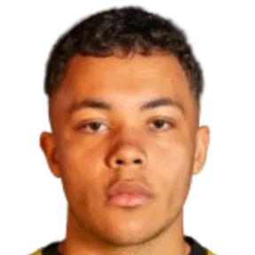 Leandro Elvestad Neto photo