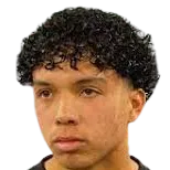 Gustavo Caraballo Delgado logo