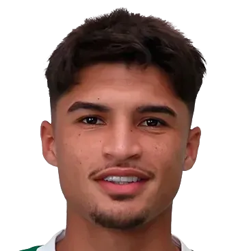 Larson Torna Ferreira dos Santos logo