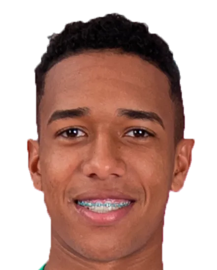 Brayam Palacios logo