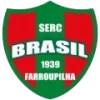 Brasil Farroupilha Women logo