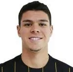 Vinicius De Freitas logo