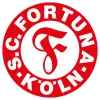 German cup runner-up logo