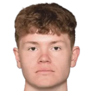 Max Normann Williamsen logo