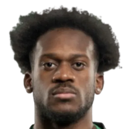 Fostave Mabani photo 