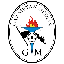 Gaz Metan Medias U19 logo