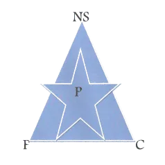 New Star De Douala logo