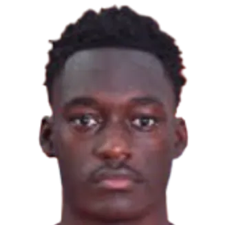 Yaël Mouanga Boudzoumou logo