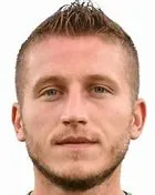 Sinisa skrijelj logo