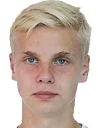 Viktor Aleksandrov logo