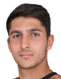 Vardan Shahatuni logo