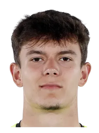 Timon Vanhoutte logo