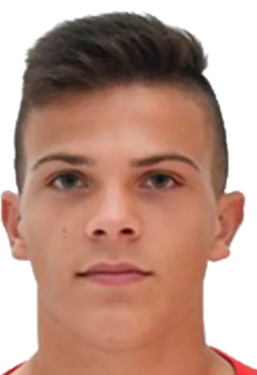 leonardo petrovic logo