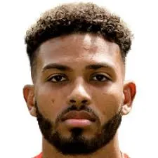 Joshua·Sanches logo