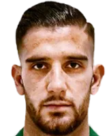 Francesco Salvemini logo