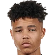 Nolhan courtens logo