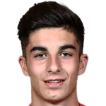 Valery Fernandez Estrada logo