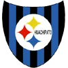 Huachipato (W) logo