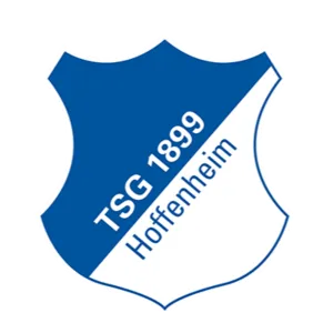 Hoffenheim U17 logo