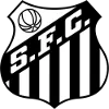 Santos Youth logo