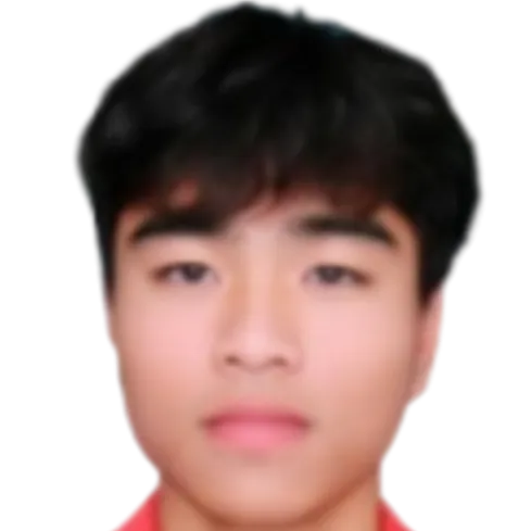 Nguyễn Công Phương photo 