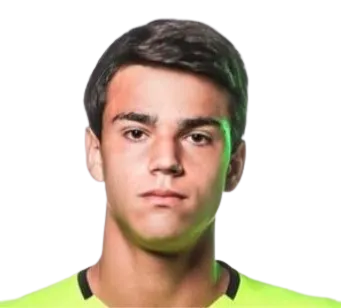 Diego Callai Silva logo