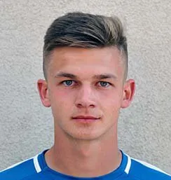 Dominik Gembicky logo