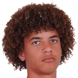 everton pereira logo