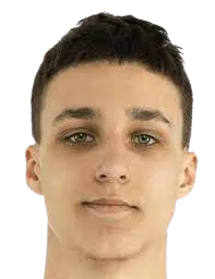 Arseni Migdalenok logo