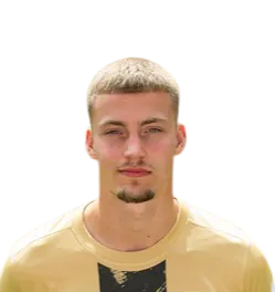 Davy Van Den Berg logo