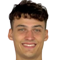 Federico Timoteo Marchesini logo