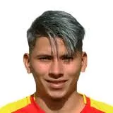 Ronald Elain Briones Legarda logo