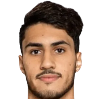 Amir Hassan Katoul photo