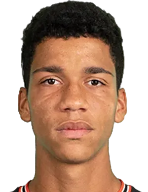 junior radzinski logo