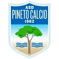 ASD Pineto Calcio U19 logo