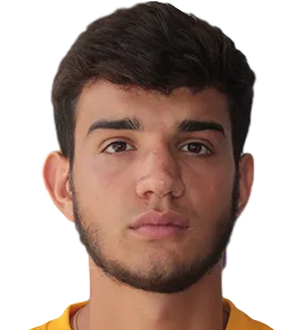 Vladyslav Babohlo logo