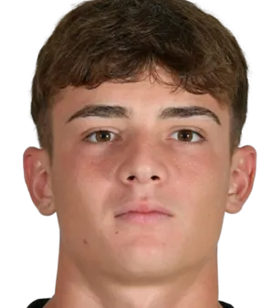 Filippo·Palazzino logo