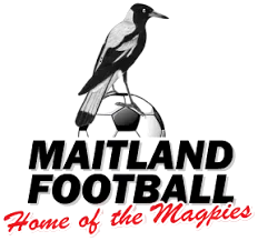 Maitland FC U20 logo