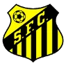 Santos FC Kingston logo