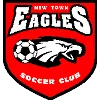 New Town Eagles logo