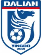 Dalian Yingbo U15 logo