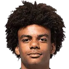 Renato Palma Veiga photo