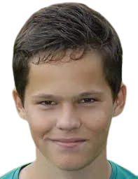 Thom van Bergen logo